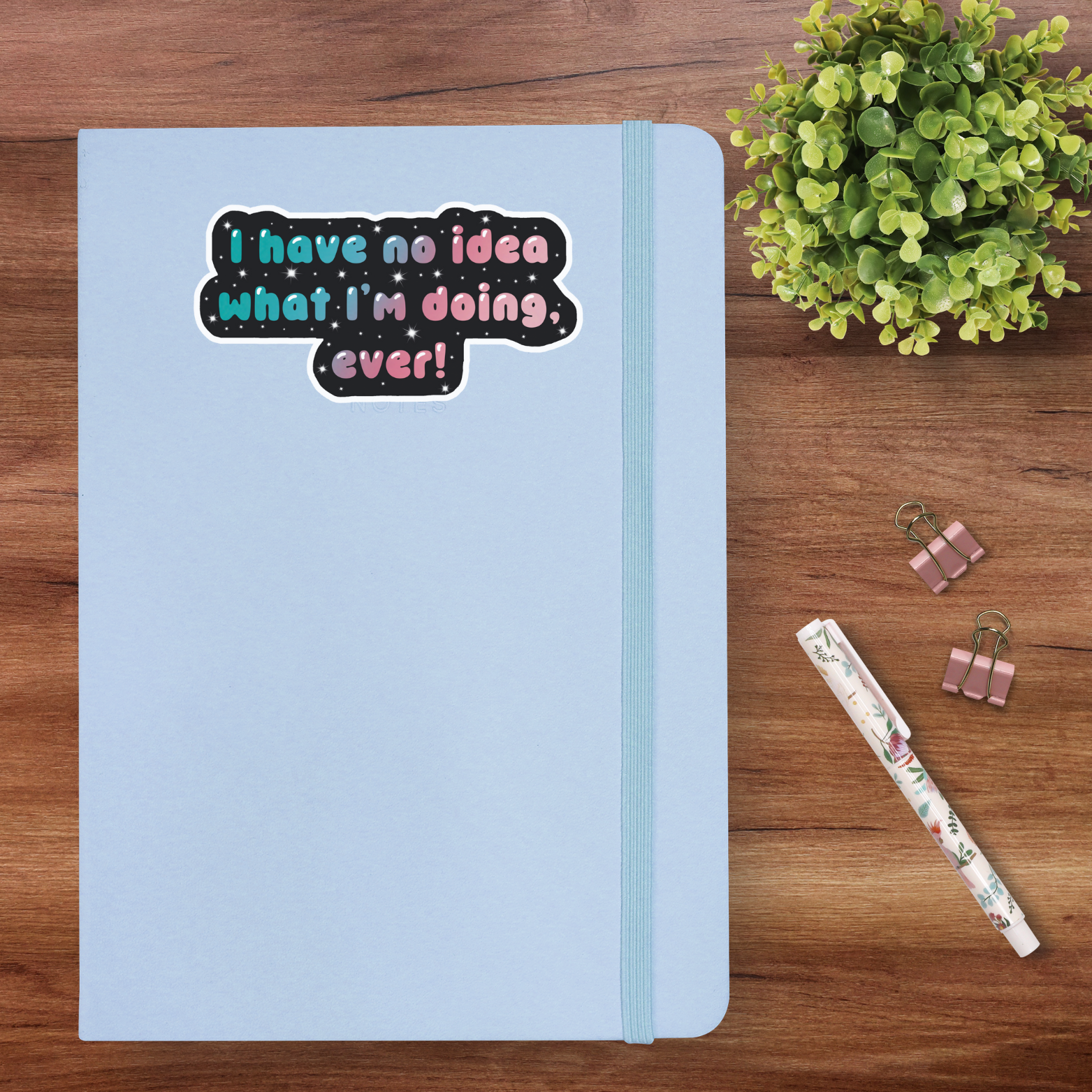 I Have No Idea What I'm Doing, ever!